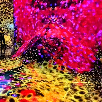 Хорошая цена 3d Indoor Immersive Projection для Ktv Bar Club Система иммерсивной проекции онлайн