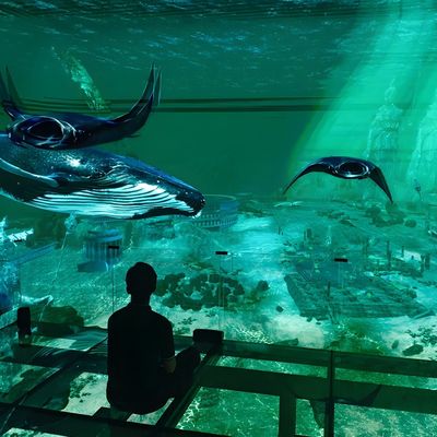 Хорошая цена Фабрика на заказ Внутренний светодиодный 5-кратный экран Immersive 3d Holographic Theater Viewing онлайн