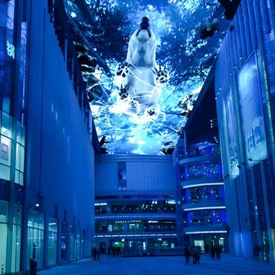 Хорошая цена 10000 Lumen Night Sky Projection Иммерсивный проектор для деловой улицы онлайн