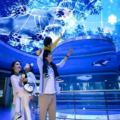 Хорошая цена Настраиваемый экран Magic Sky Hologram Canopy Projection Интерактивный проектор онлайн