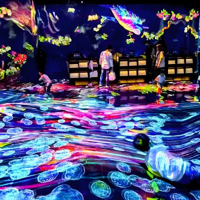 Хорошая цена 3D голографическое интерактивное проекционное программное обеспечение онлайн