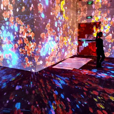 Хорошая цена Студия йоги Стенная проекция Полная проекция Интерактивная виртуальная реальность Музейное шоу онлайн
