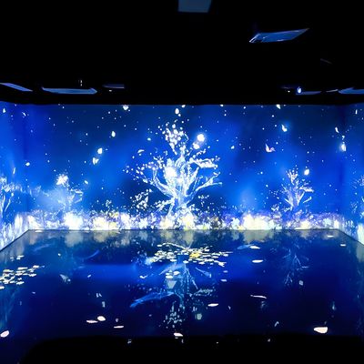 Хорошая цена Комнатные декорации Музей цифрового искусства Выставка 3d Immersive Mapping Projector онлайн