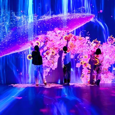 Хорошая цена Гостиничный декор 3D голографический интерактивный проектор на стене онлайн