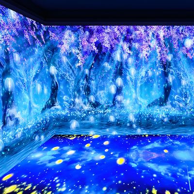 Хорошая цена 3D Immersive Projector Immersive Experience Ground Wall Projection для музеев онлайн