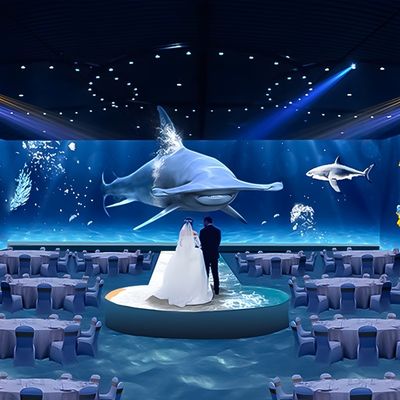 Хорошая цена Опыт еды Ресторан Удовольствие Иммерсивная проекция 3D-картировка онлайн
