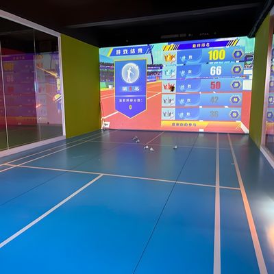 Хорошая цена Northern Lights Профессиональные Indoor AR Спорт Бадминтон Indoor Ball Games онлайн