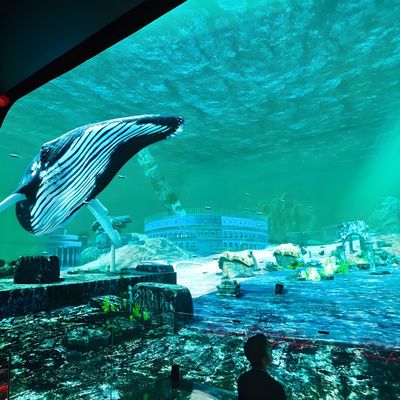 Хорошая цена 3D HD Immersive Viewing Led Display Screen Висячее стекло Голограммный кинотеатр онлайн