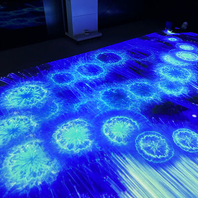 Хорошая цена Portable Mobile Interactive Floor Projection System with 1280*800 Resolution and 110V-250V Voltage онлайн